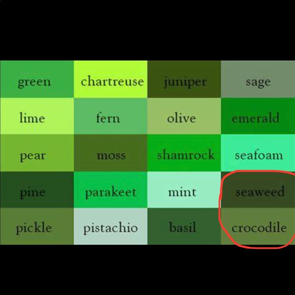 NEW ST. JOHN’S BAY Active Hiking Pants Green Petite XS Women’s NWOT - Picture 3 of 13